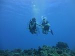 Hawaii Scuba divng 17