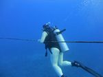 Hawaii Scuba divng 21