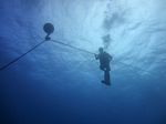 Hawaii Scuba divng 22