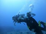 Hawaii Scuba divng 26