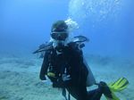 Hawaii Scuba divng 27