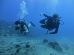 Hawaii Scuba divng 28