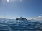 Hawaii Scuba divng 02