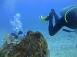 Hawaii Scuba divng 32