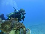 Hawaii Scuba divng 33