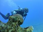 Hawaii Scuba divng 34