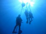 Hawaii Scuba divng 06