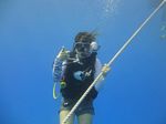 Hawaii Scuba divng 10