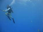 Hawaii Scuba divng 12