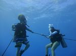 Hawaii Scuba divng 13