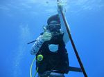 Hawaii Scuba divng 15