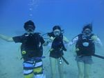 Hawaii Scuba divng 17