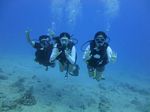 Hawaii Scuba divng 18