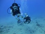 Hawaii Scuba divng 21