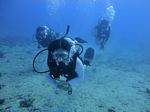 Hawaii Scuba divng 22