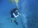 Hawaii Scuba divng 23