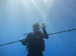 Hawaii Scuba divng 27