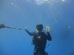 Hawaii Scuba divng 28