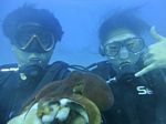 Hawaii Scuba divng 37