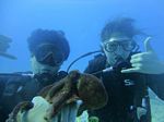 Hawaii Scuba divng 38