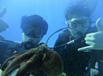 Hawaii Scuba divng 39