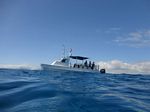 Hawaii Scuba divng 03