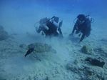 Hawaii Scuba divng 44