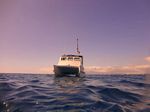 Hawaii Scuba divng 04