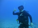 Hawaii Scuba divng 51