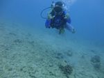 Hawaii Scuba divng 10