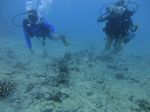 Hawaii Scuba divng 11