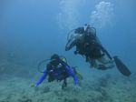 Hawaii Scuba divng 12