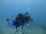 Hawaii Scuba divng 23