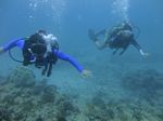 Hawaii Scuba divng 24