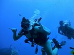 Hawaii Scuba divng 13