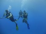 Hawaii Scuba divng 30