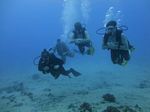 Hawaii Scuba divng 32