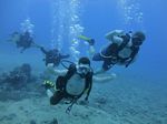 Hawaii Scuba divng 33