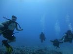 Hawaii Scuba divng 34