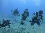 Hawaii Scuba divng 35