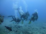 Hawaii Scuba divng 36