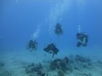 Hawaii Scuba divng 45