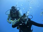 Hawaii Scuba divng 46