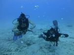 Hawaii Scuba divng 48