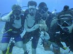 Hawaii Scuba divng 51