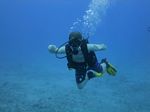 Hawaii Scuba divng 53