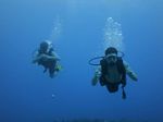 Hawaii Scuba divng 56