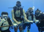 Hawaii Scuba divng 57