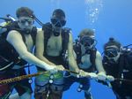 Hawaii Scuba divng 58