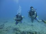 Hawaii Scuba divng 10